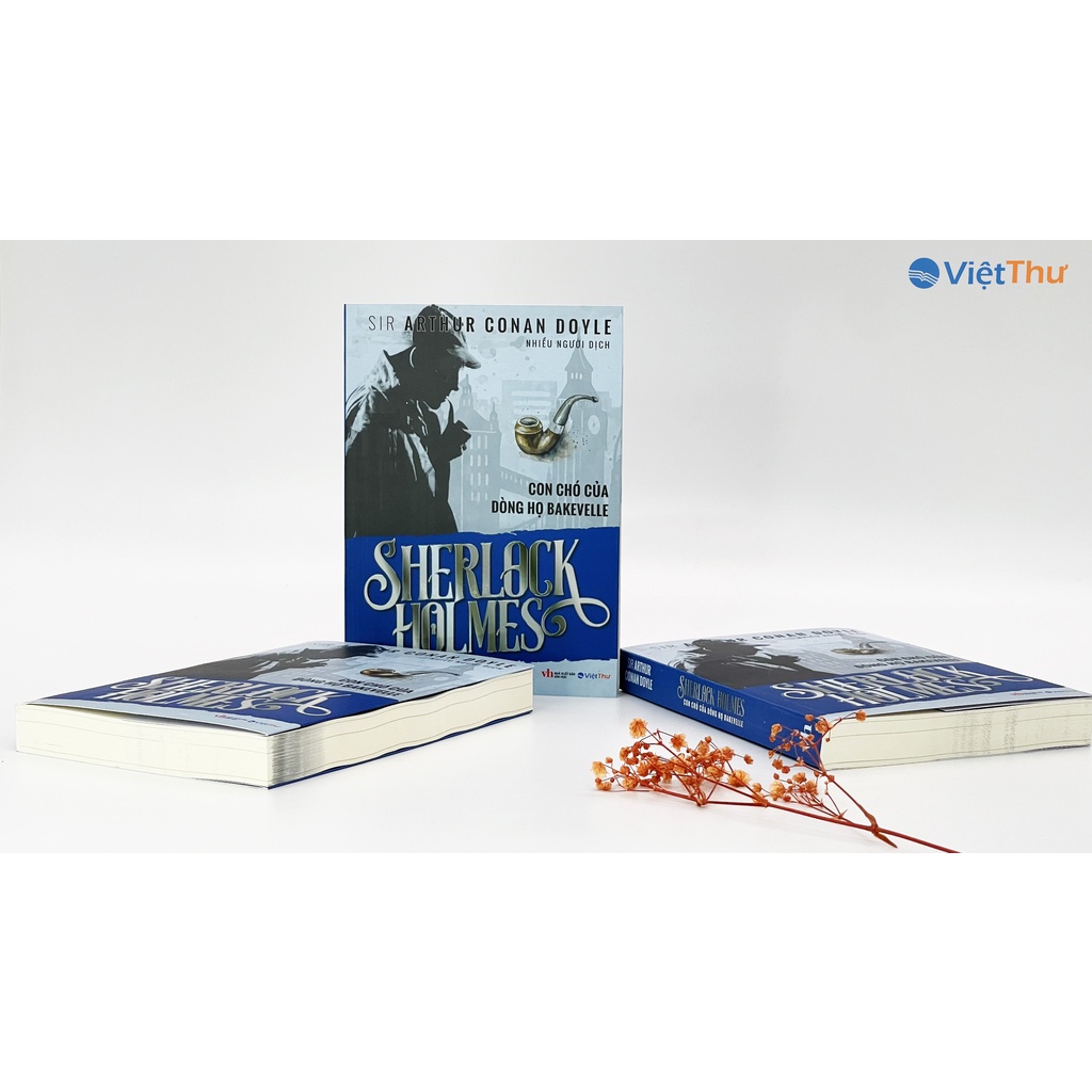 Sách - Sherlock Holmes - Con Chó Của Dòng Họ BAKJEVELLE - Sir Arthur conan doyle (Bìa Mềm)