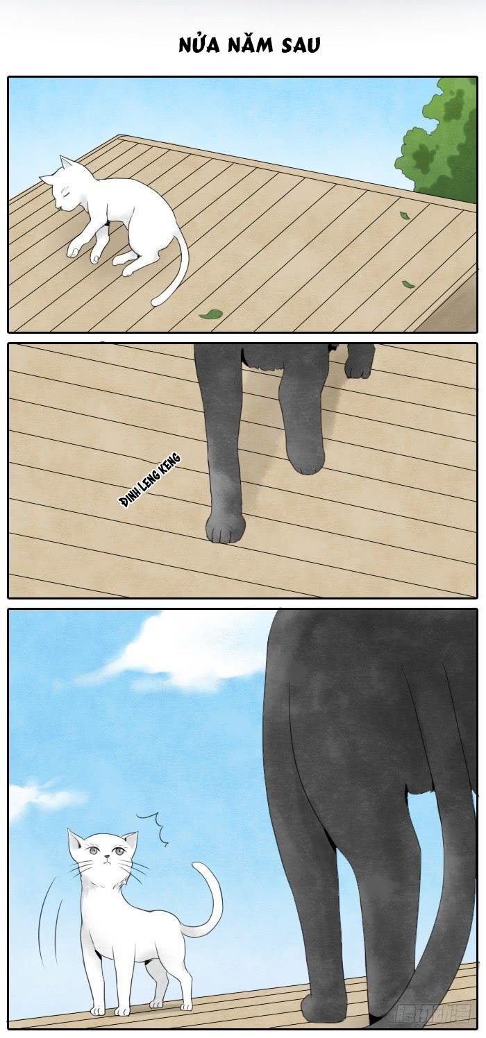 đầu trâu không phải miệng ngựa chapter 3 25