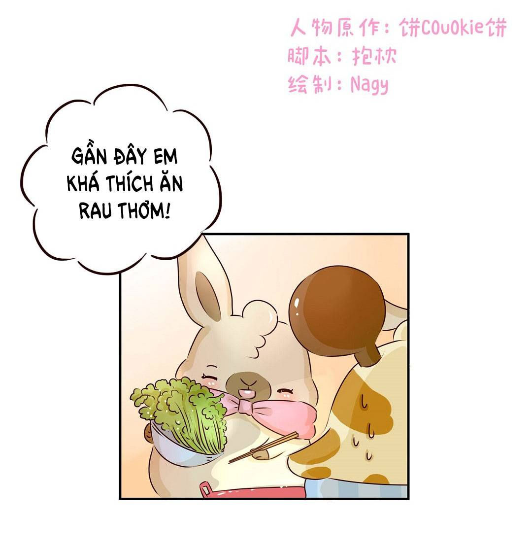 lạc chẩm cổ dài chapter 17 2