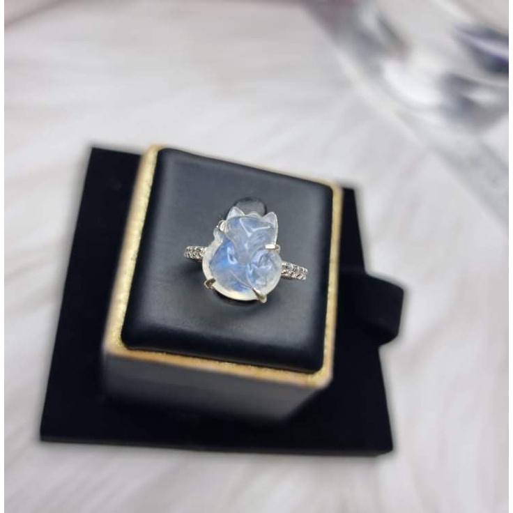 Hồ ly Mặt trăng