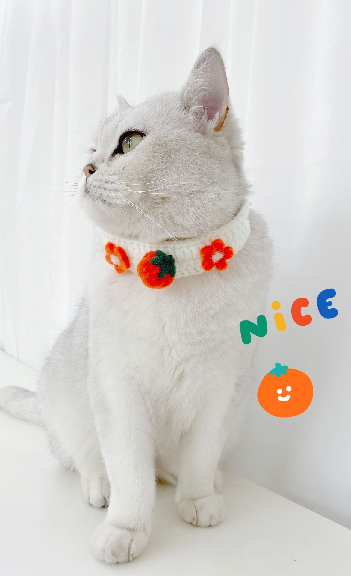 Vòng cổ len cao cấp cho chó mèo - Genyo Collar 062