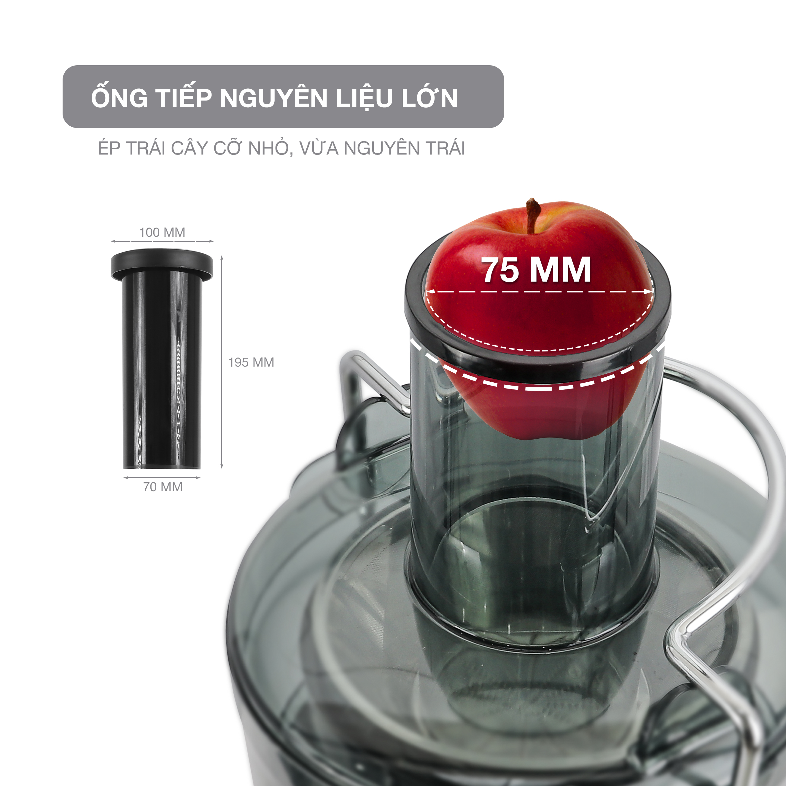 Máy ép trái cây rau củ LEBENLANG công suất cực mạnh 800W, dung tích lớn 1100ml, model LBEJ3468 - hàng chính hãng