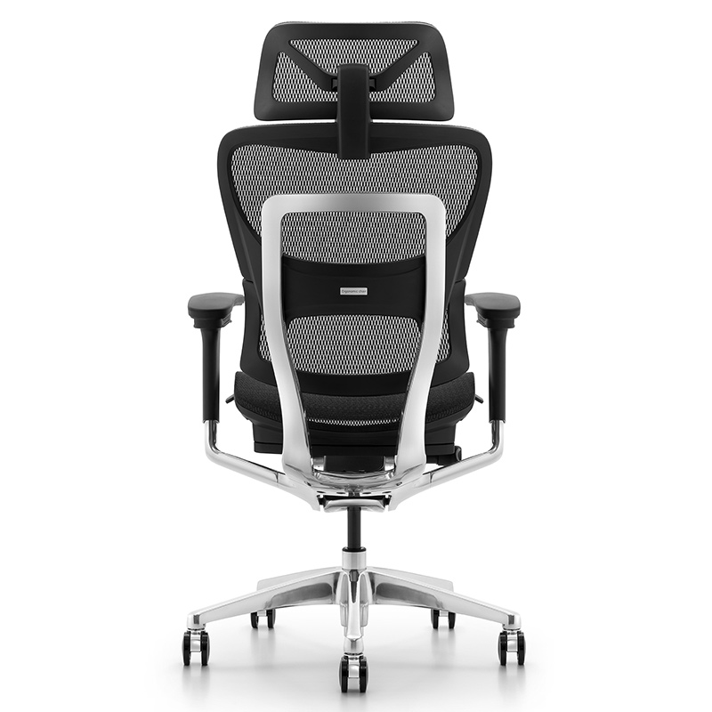 Ghế Công Thái Học Ergonomic Fly Pro Đen - Thiết kế 2 lưng