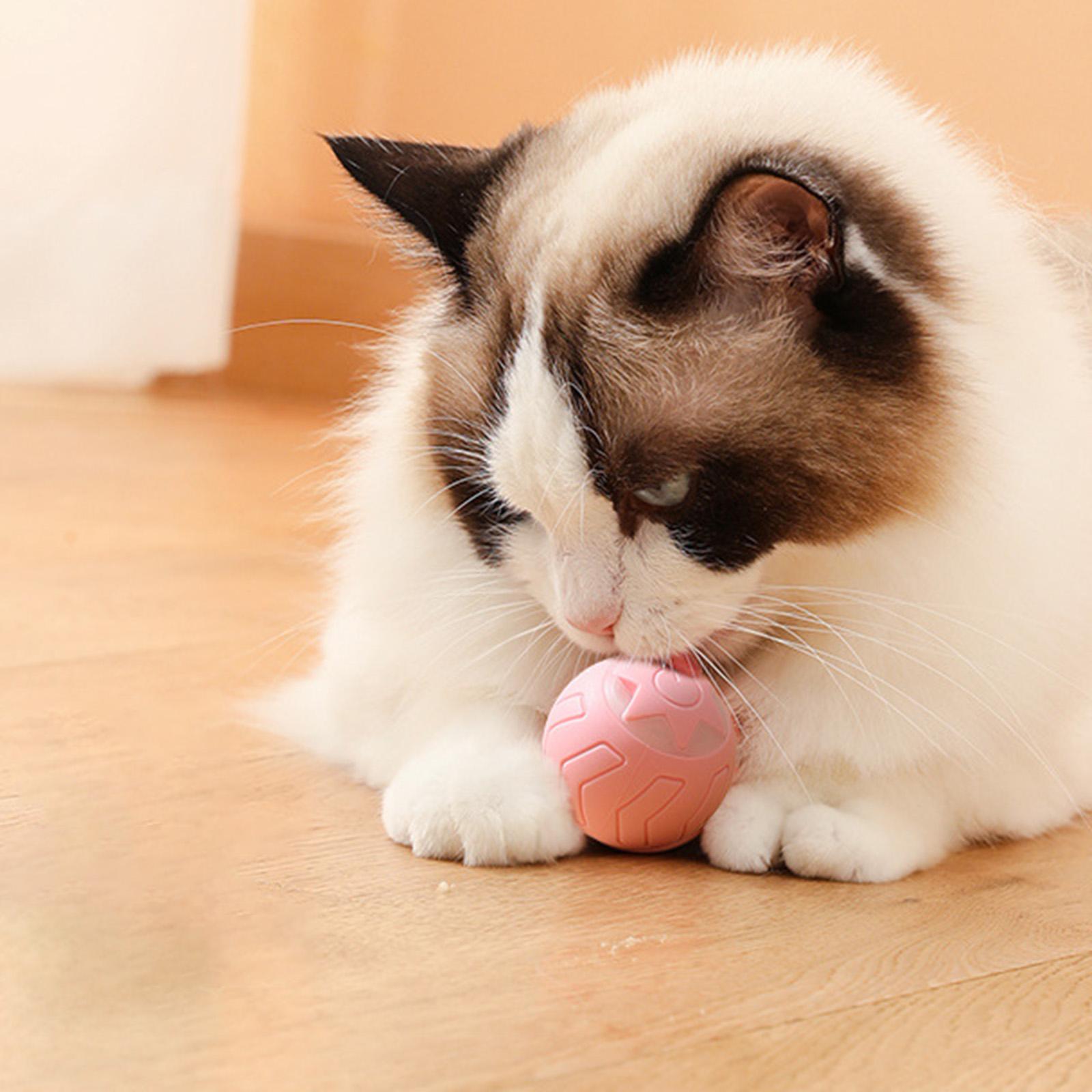 Interactive Cats Ball Toy Kitten Traning Toys Pet Supplies Automatic Pet Exercise Balls for Indoor Cats Exercise Training