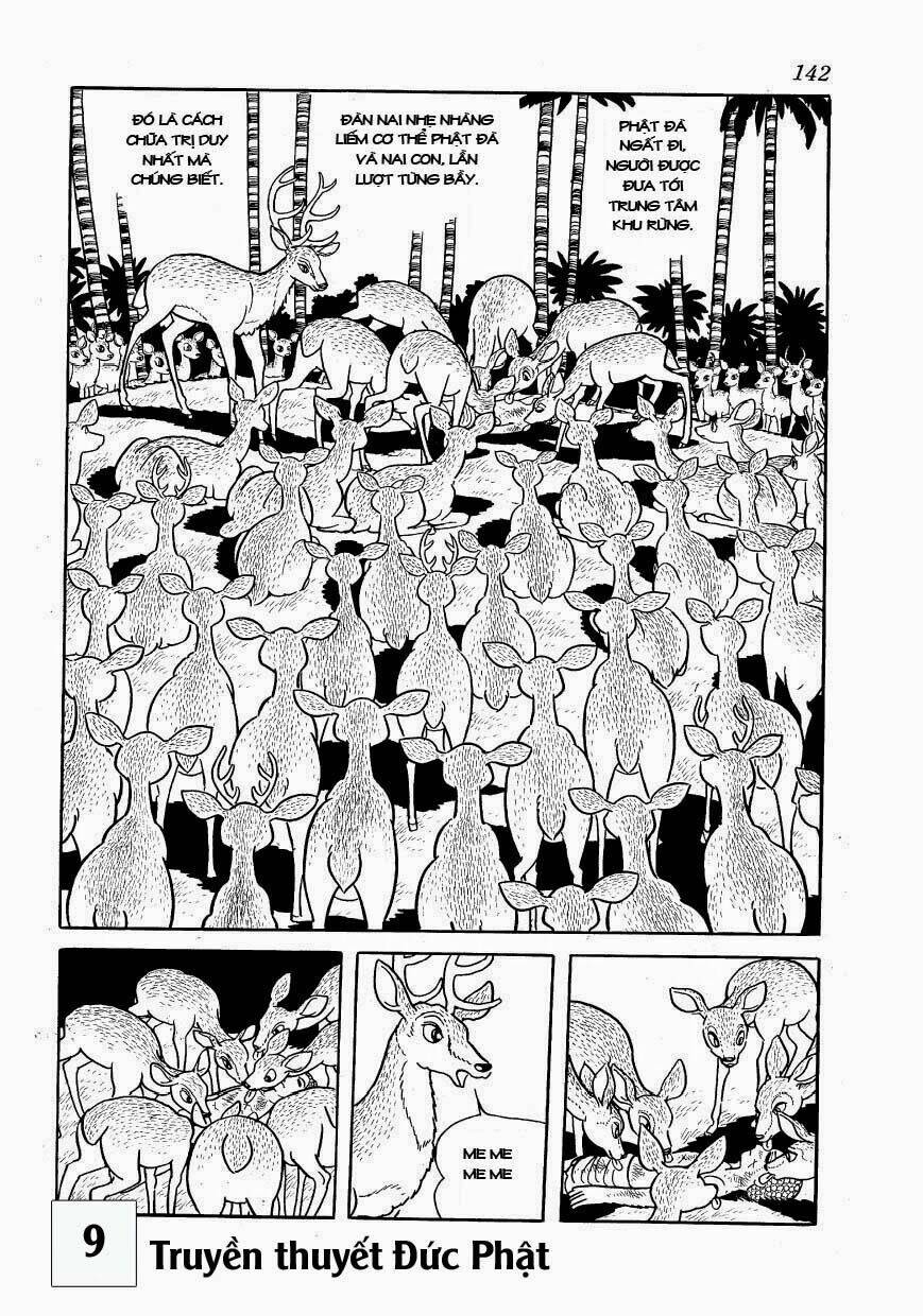 buddha - truyền thuyết đức phật chapter 41 44