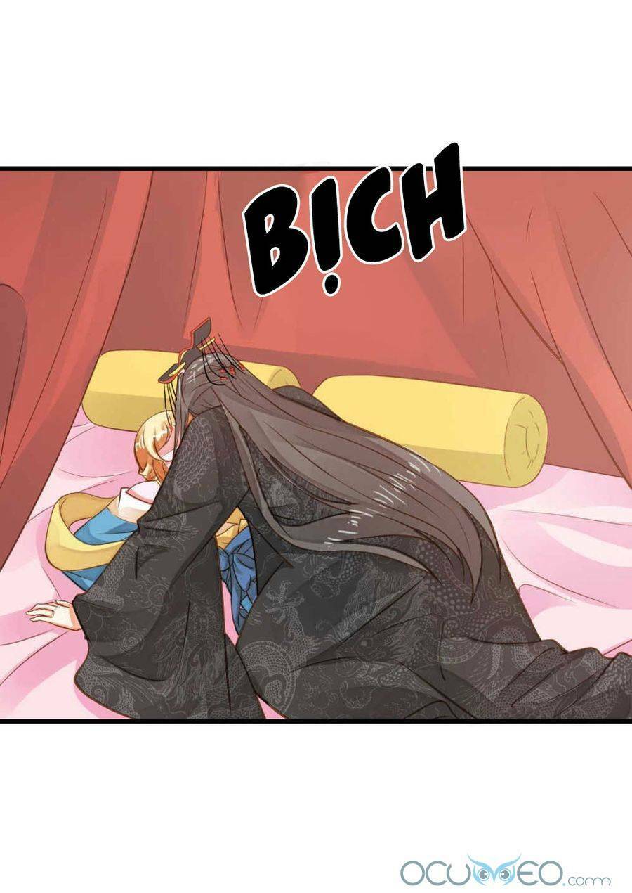 quý phi này có chút cơ chapter 25 14