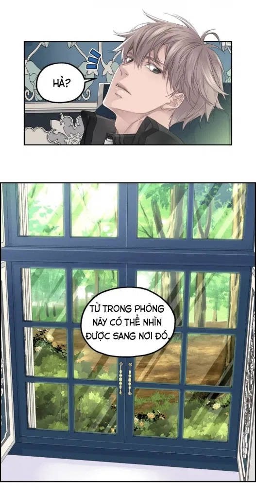 ảo mộng bất thành chapter 8 15