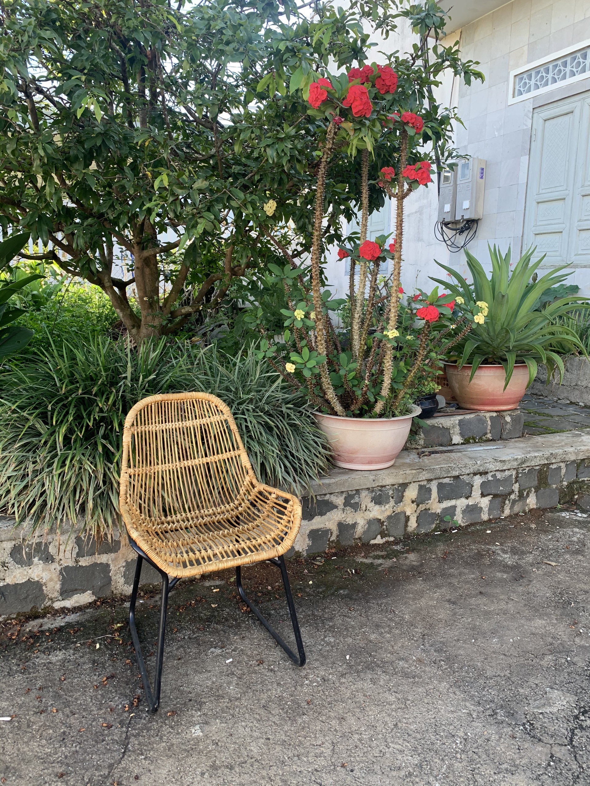 Ghế Mây Chân Sắt Thiết Kế 2021- Rattan Chair With Iron Leg- CH0079