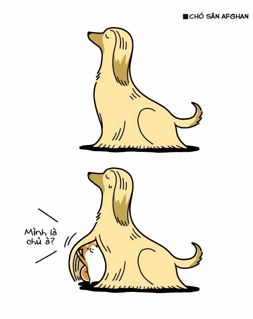 taru shiba chapter 7 5