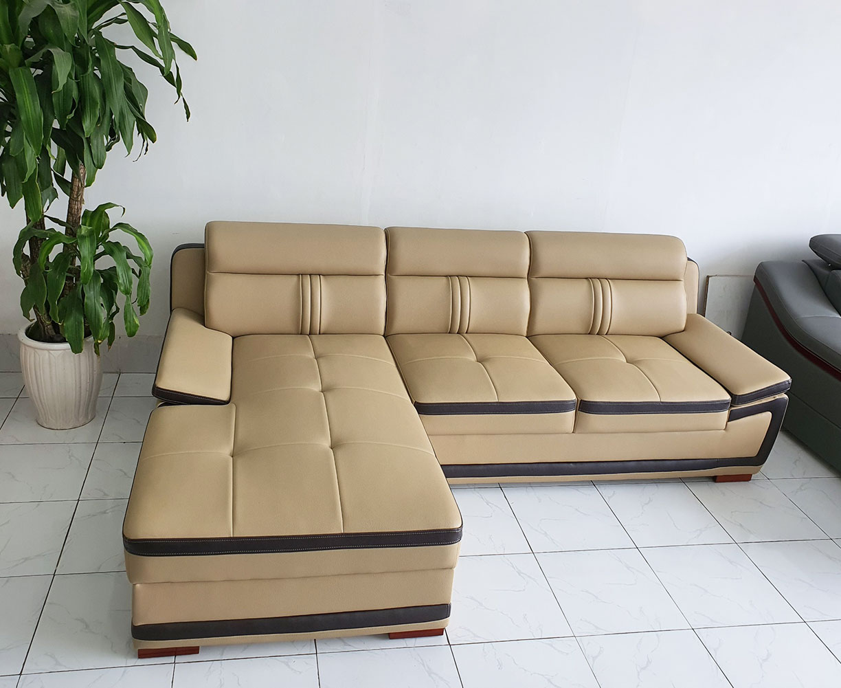 Ghế Sofa Góc L Phối Viền Trẻ Trung_Màu Kem Viền Nâu_Size 2500 x 1600