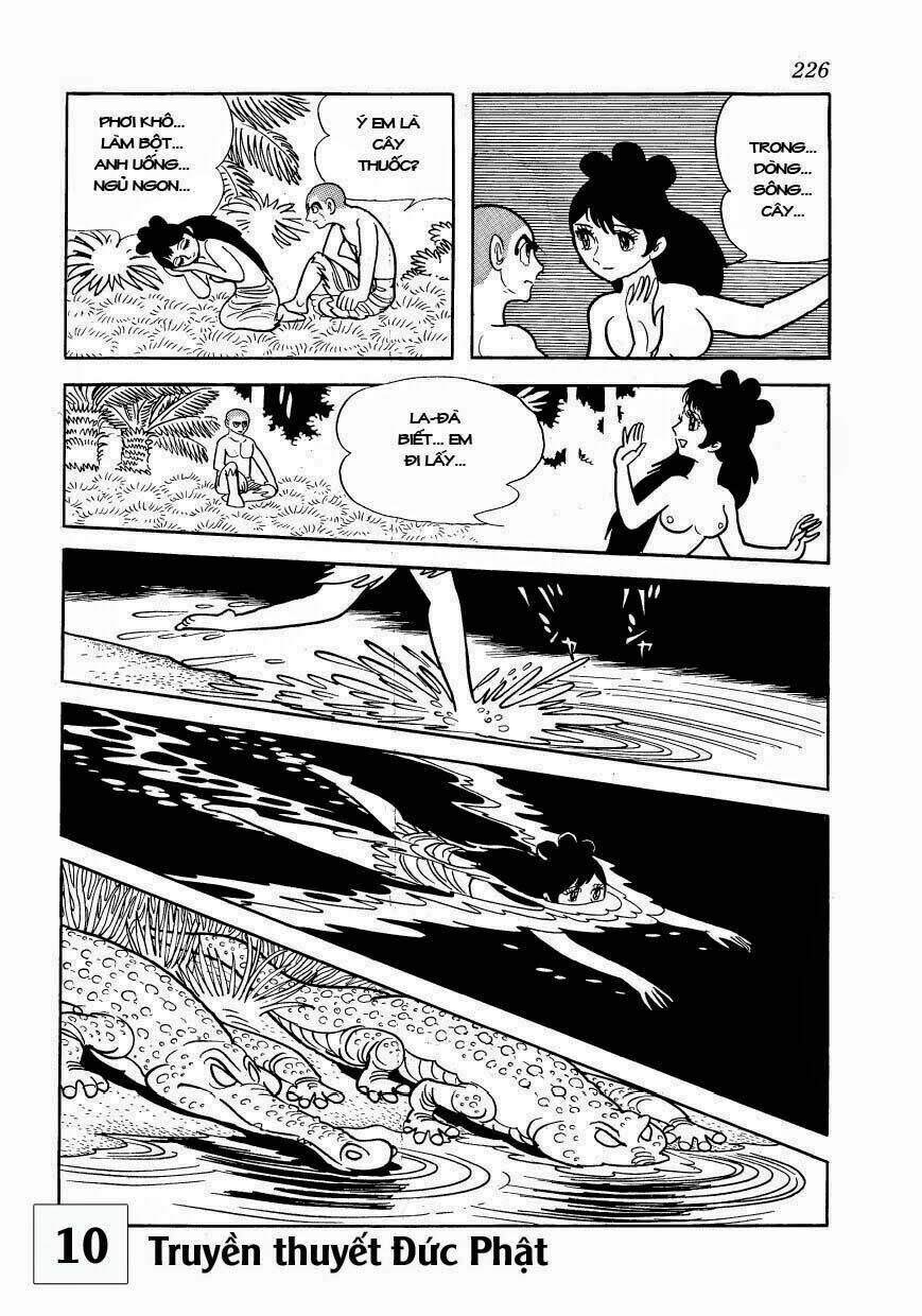 buddha - truyền thuyết đức phật chapter 49 17