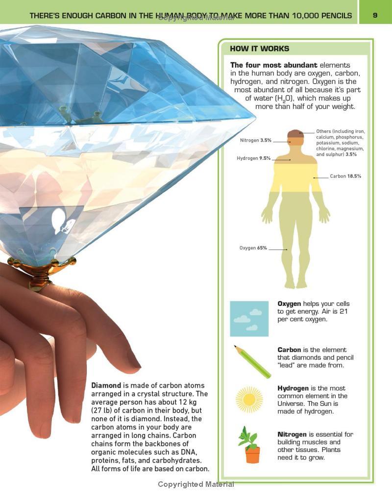 Sách ngoại văn: It Can't Be True! Human Body! : 1,000 Amazing Facts About You