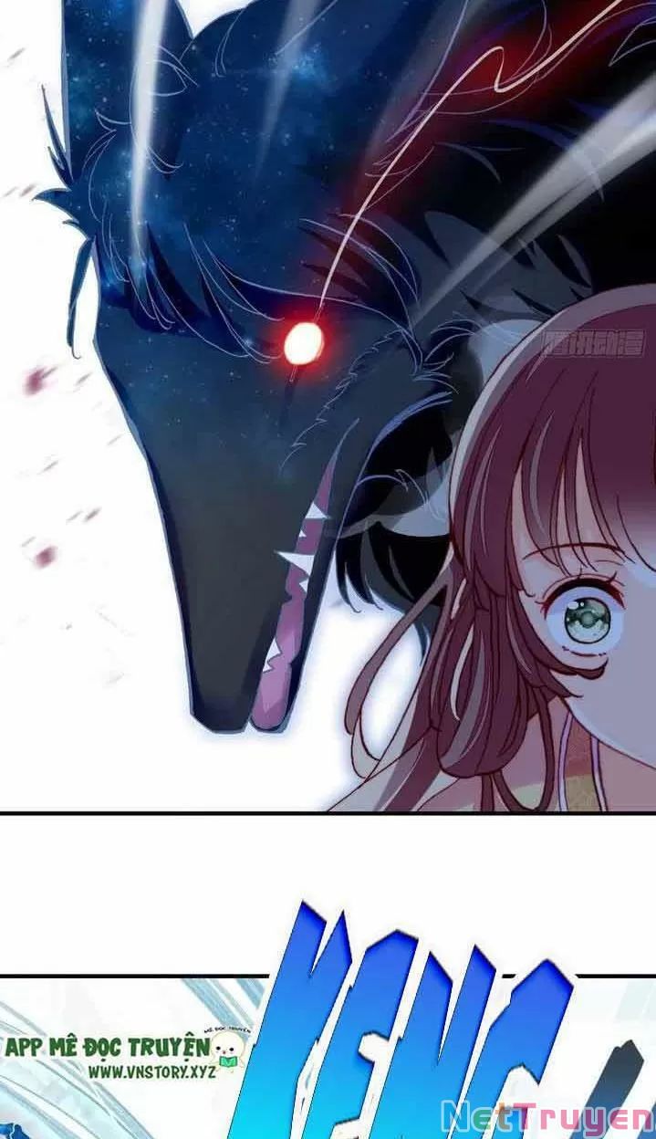 lại bị bệnh chiều chuộng quấn lấy chapter 14 13