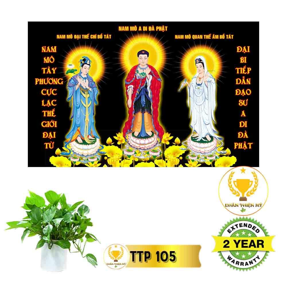 Tranh điện Tam Thế Phật_TTP11