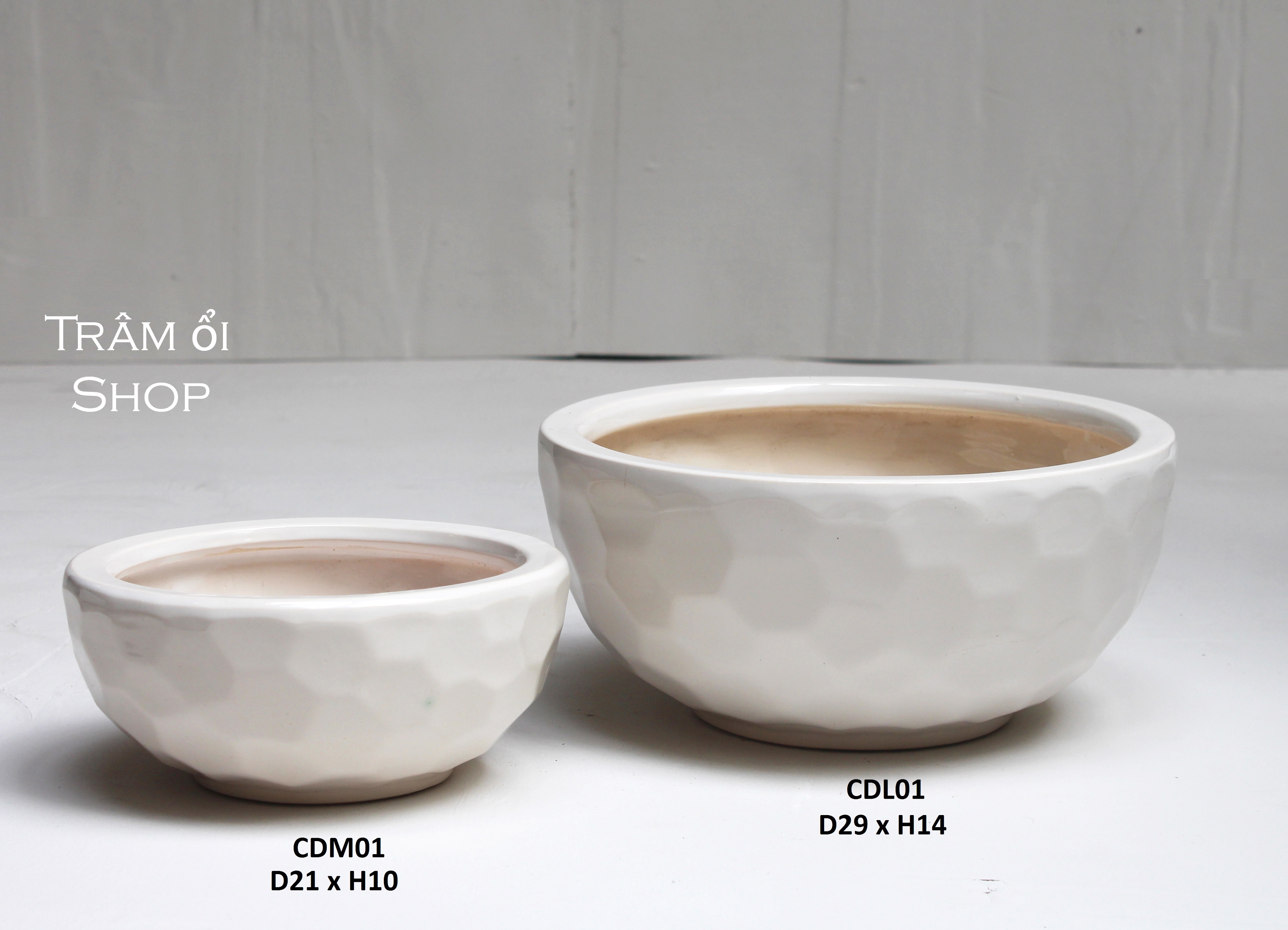 Chậu gốm và cây cảnh