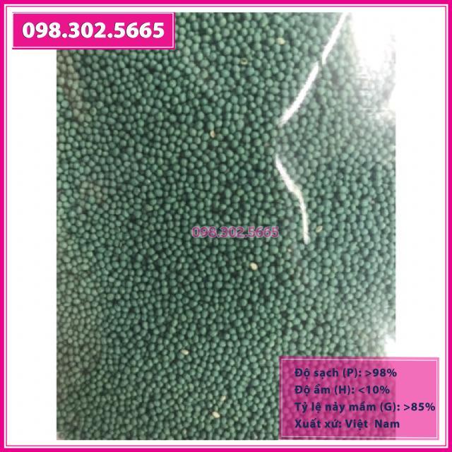 Hạt Giống Thảm Cỏ Bermuda gói 1kg - Cỏ Sân Vườn - Cỏ Thảm - Cỏ Trồng Cảnh Quan