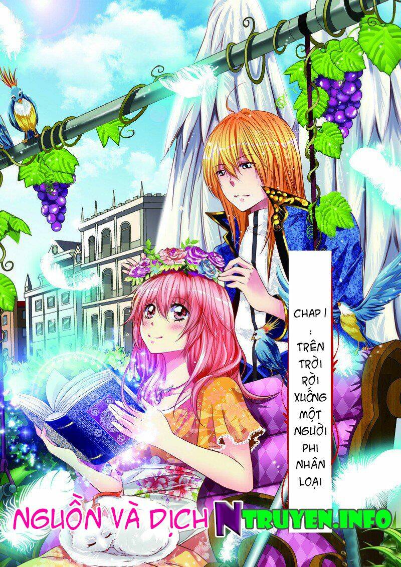 thiên sứ tại nhân gian chapter 1 1