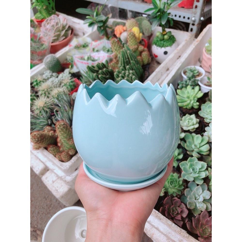 Chậu kiểu có dĩa lót