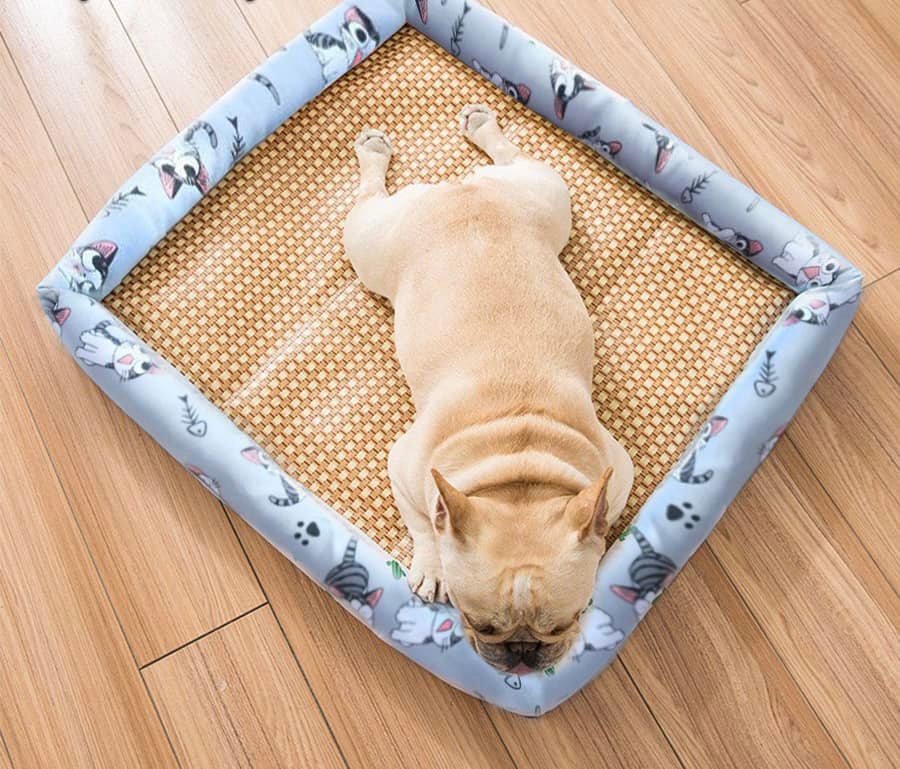 Đệm hè dành cho thú cưng size M