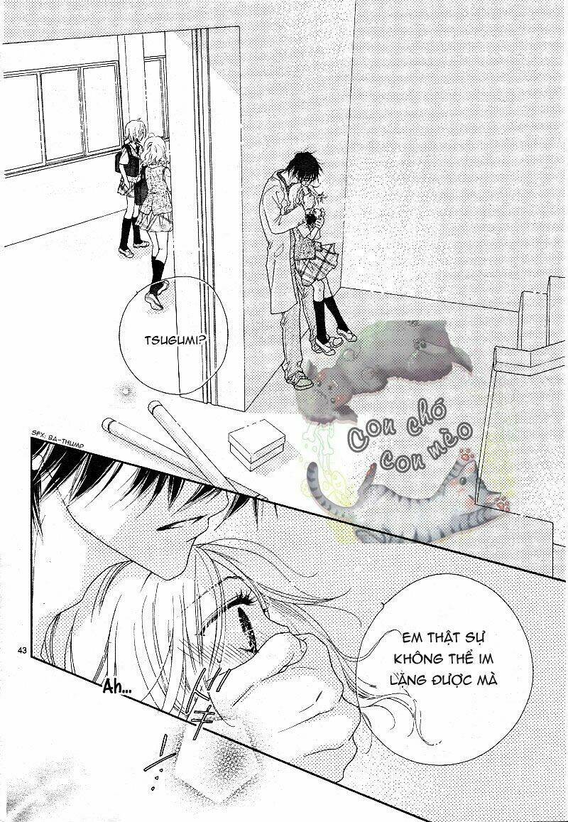 sai x ai chapter 1 41