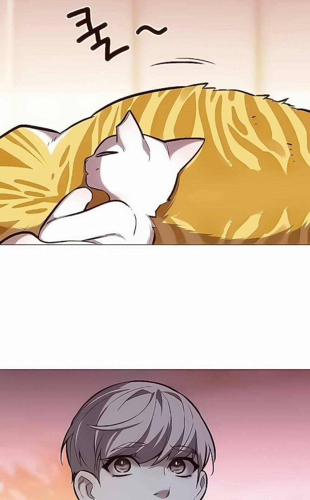 biến thân thành mèo chapter 168 66