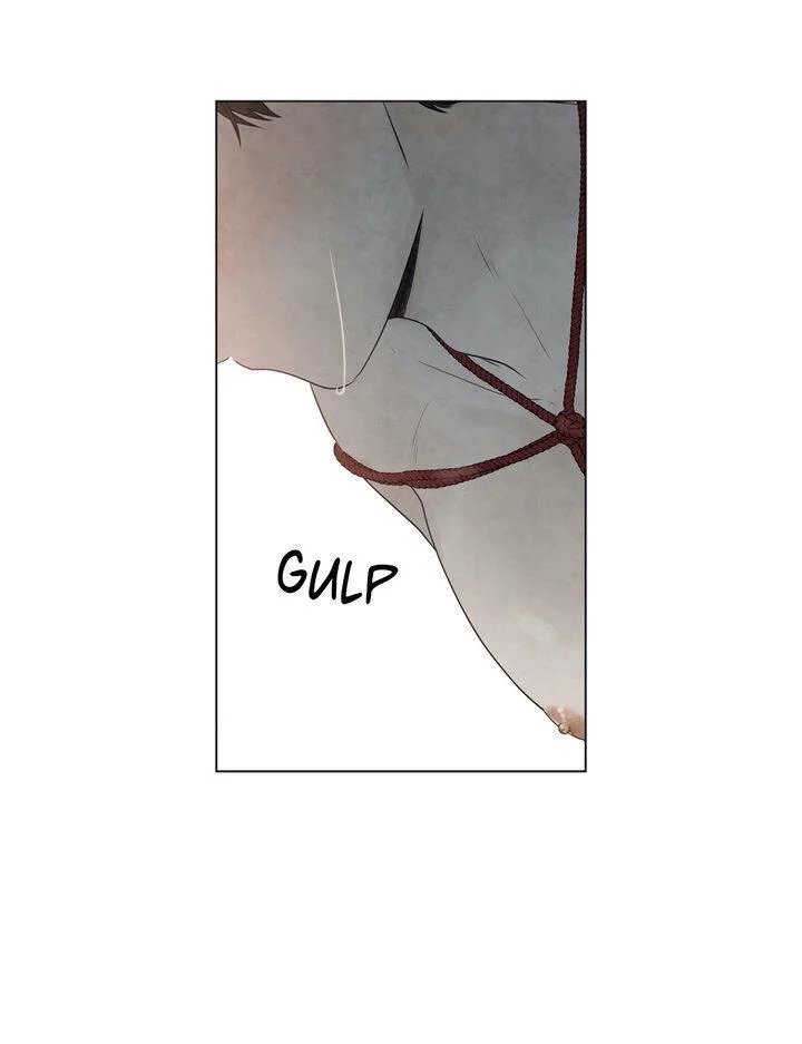 summer solstice point chapter 47 27