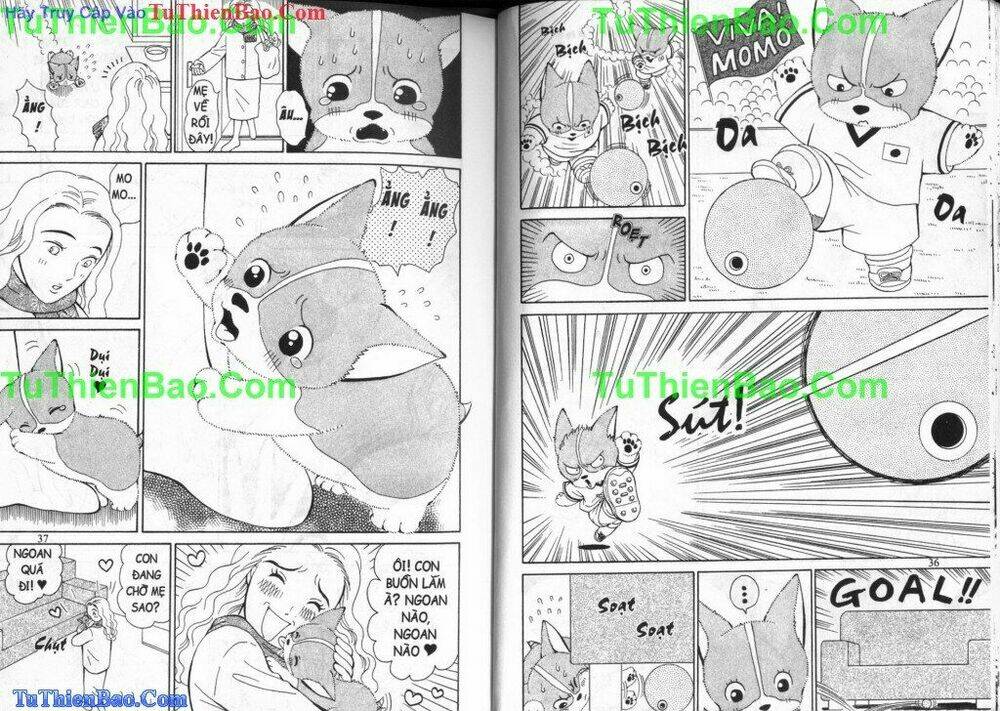 chó con mo mo chapter 3 20