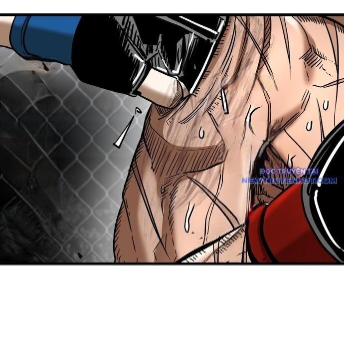 shark - cá mập chapter 339 15