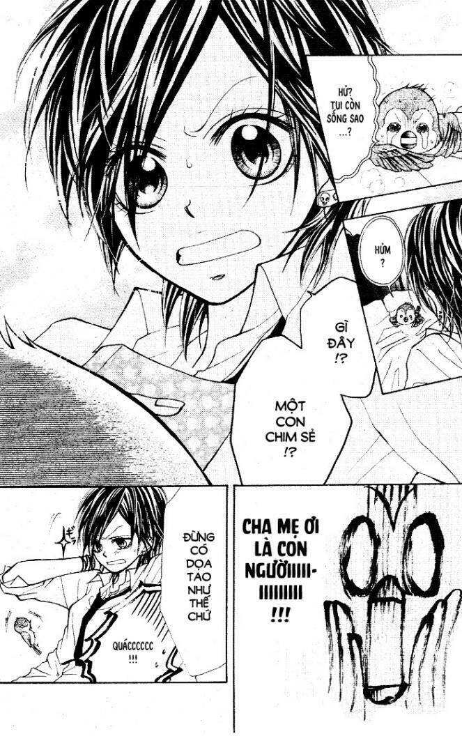 by hero [s.a] chapter 1 8