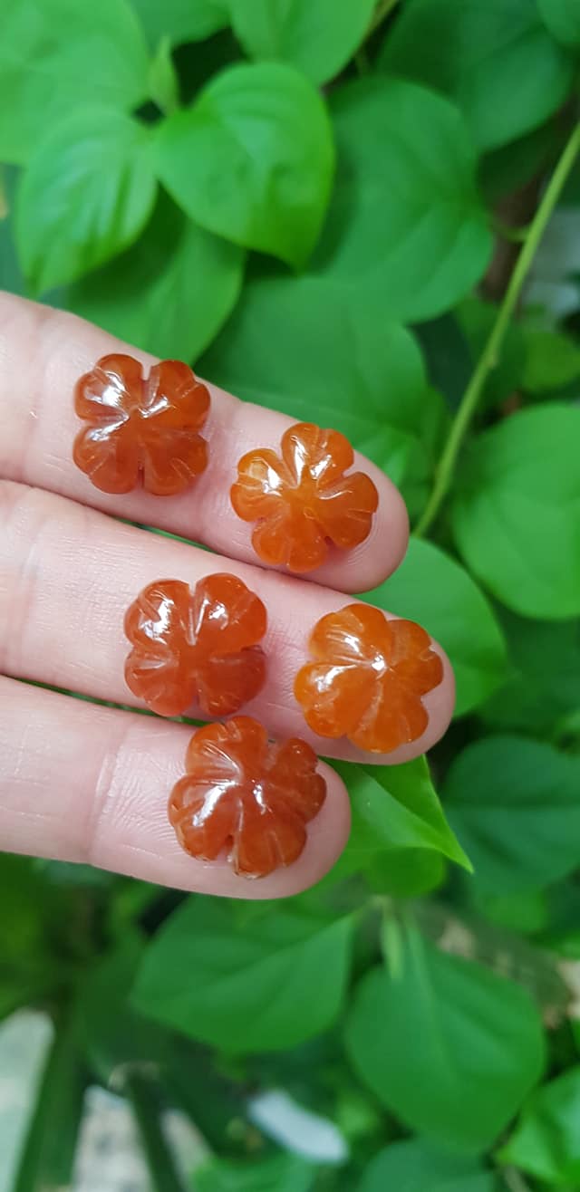 Mặt Bông Hoa cỏ 4 lá màu cam đậm nữ phối vòng tay,làm mặt nhẫn Chất liệu đá cẩm thạch size hạt 15mm x dầy 6mm Nữ về phối với vòng tay của mình đeo hay làm mặt nhẫn mặt dây chuyền đeo xinh ạ