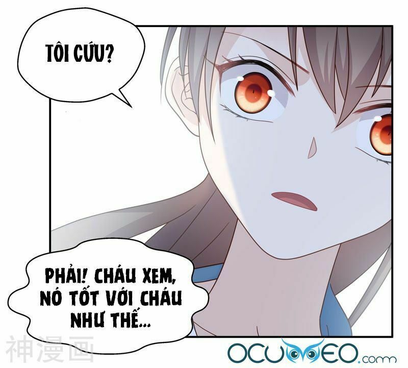 thiên kim bất lương chapter 27 17