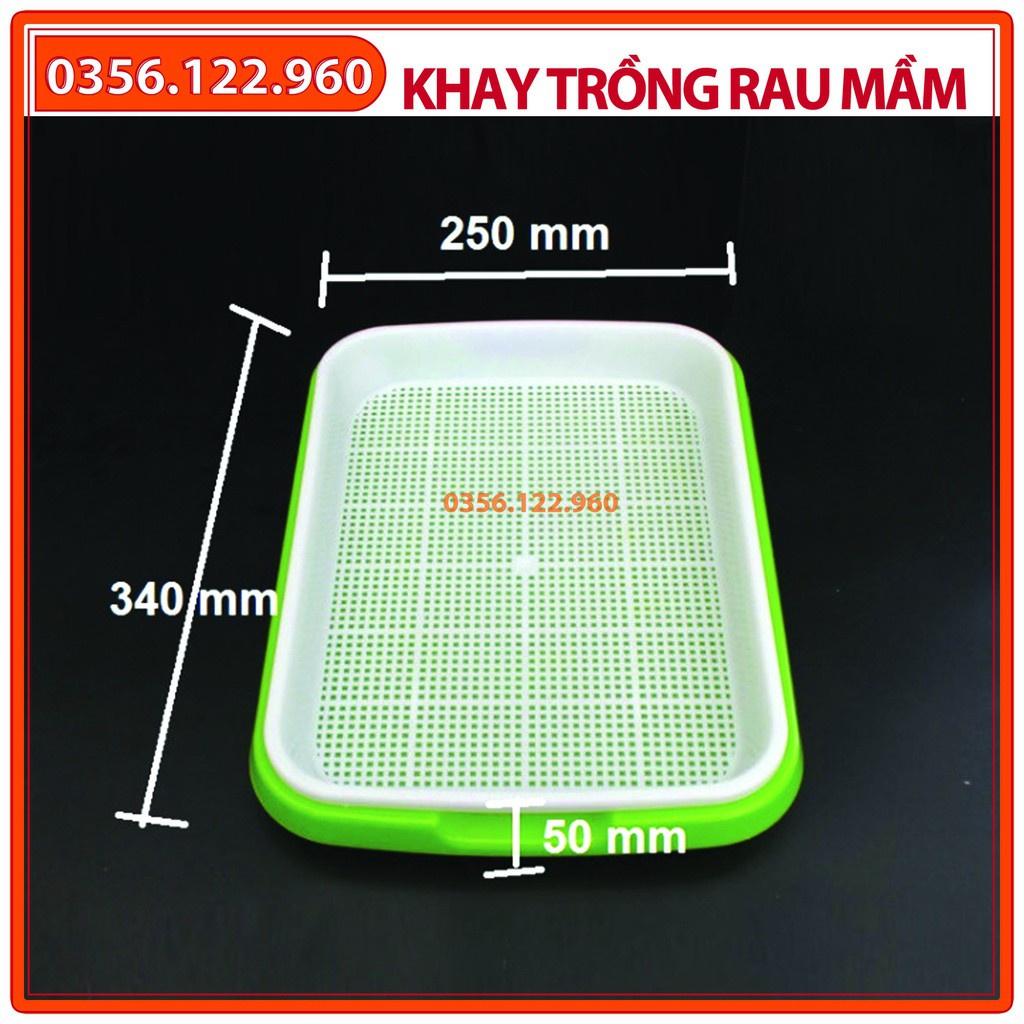 Bộ 10 Khay trồng giá đỗ, ươm rau mầm sạch an toàn, diện dụng