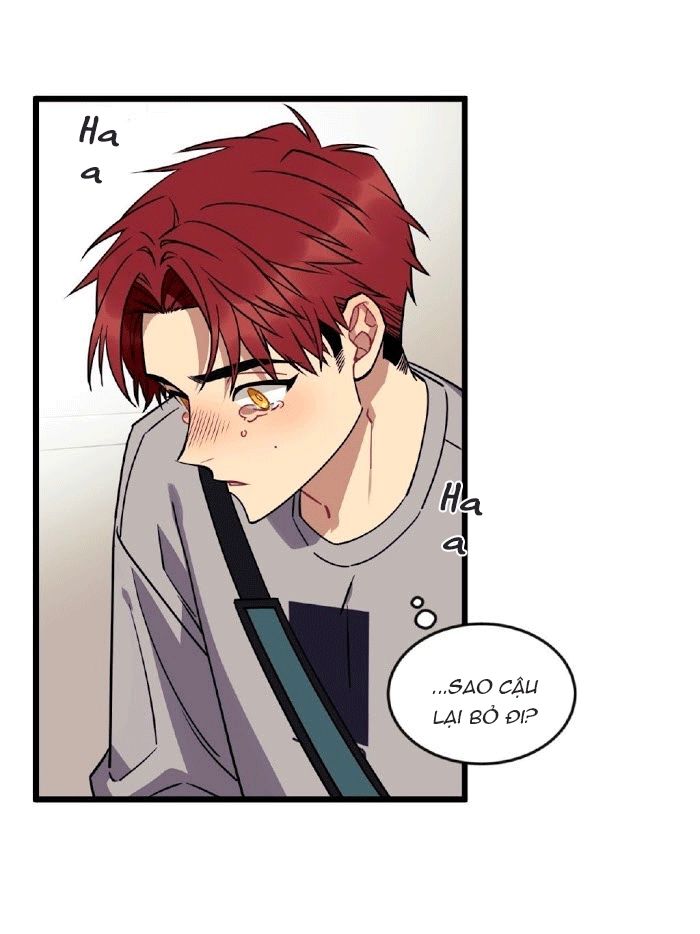 điều ước của cậu là mệnh lệnh của tớ chapter 8 48