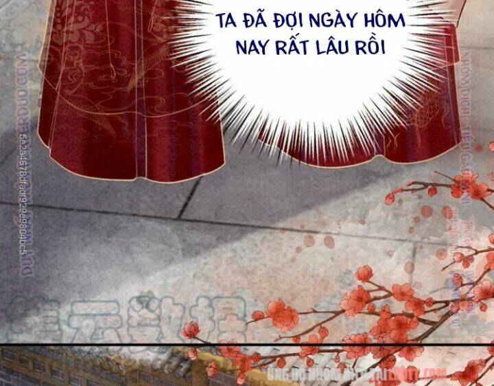 trọng sinh bá sủng nhiếp chính vương quá mạnh mẽ chapter 213 24