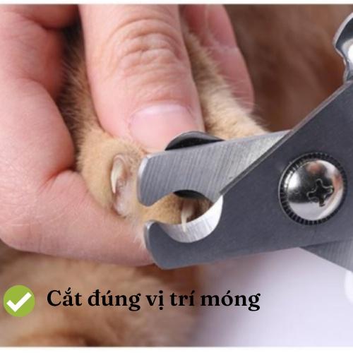 Dụng cụ cắt và dũa móng cho chó mèo- trọn bộ kèm dũa móng