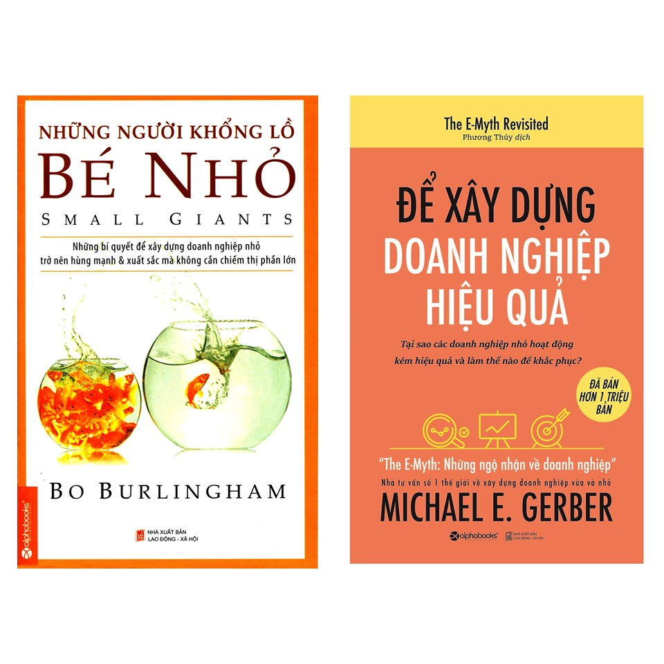 Combo Sách Kỹ Năng Kinh Doanh: Những Người Khổng Lồ Bé Nhỏ + Để Xây Dựng Doanh Nghiệp Hiệu Quả