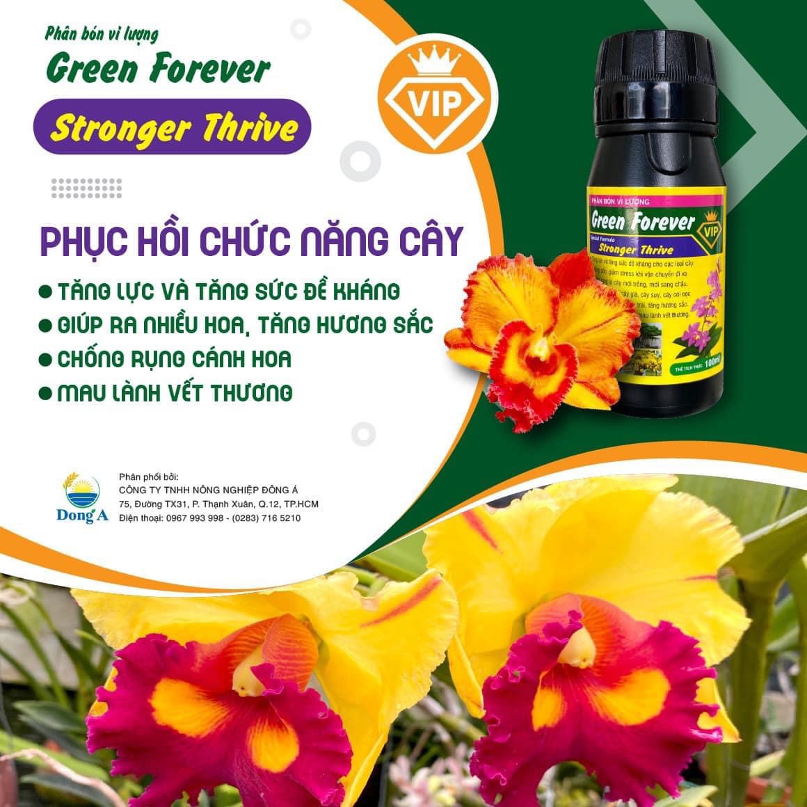 Phân bón vi lượng Green Forever stronger thrive phục hồi cây lọ 100ml