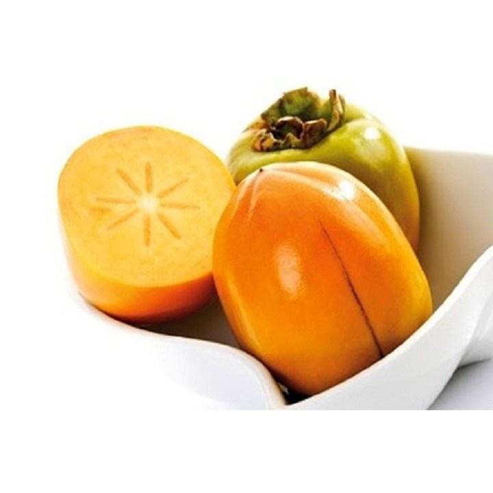 CÂY GIỐNG HỒNG Giòn GIA THANH