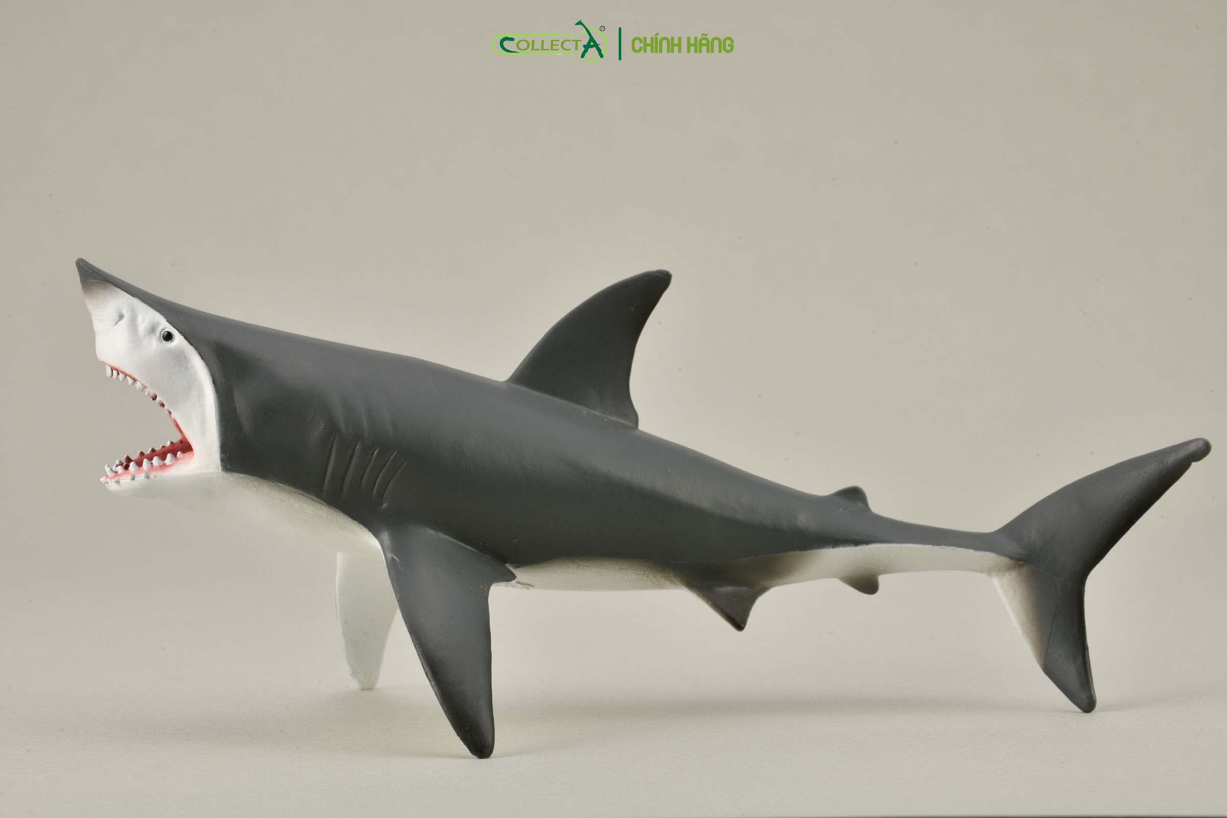 Mô hình thu nhỏ: Cá Mập Trắng - Great White Shark - Open Jaw, hiệu: CollectA, mã HS 9652080[88729] -  Chất liệu an toàn cho trẻ - Hàng chính hãng