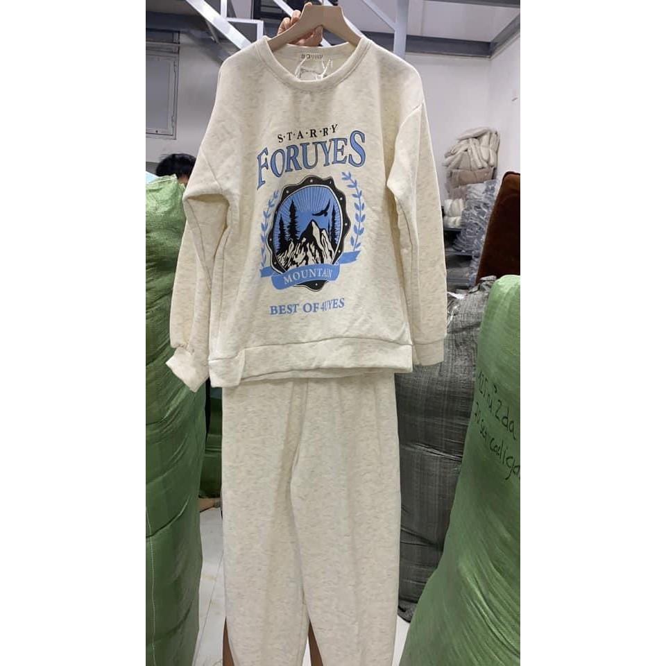 Set Bộ Nỉ Ngoại Sweater Kèm Quần Jogger Set Bộ Dài Tay Kèm Quần Jogger Dáng Rộng Siêu Xinh Màu Xám Mountain