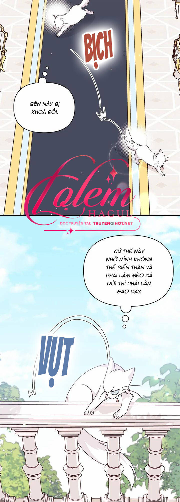 Tôi Đã Có Chồng Sau Khi Nhặt Được Nam Chính chapter 47.1 6