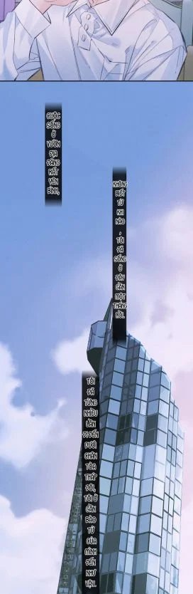 cây nấm nhỏ chapter 52 3