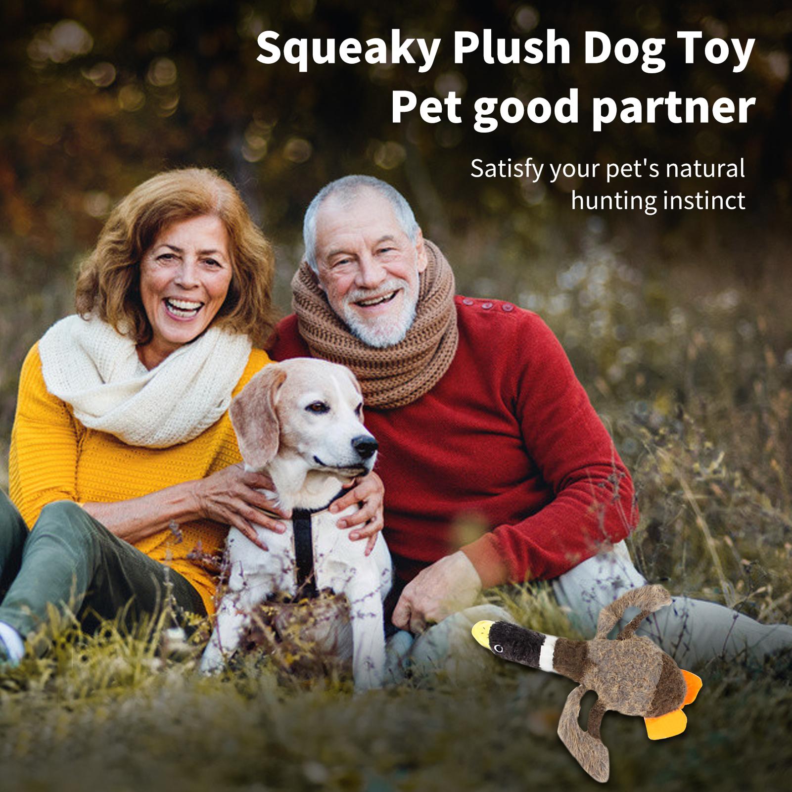 Đồ chơi cho chó với thiết kế tiếng kêu và tiếng động vật