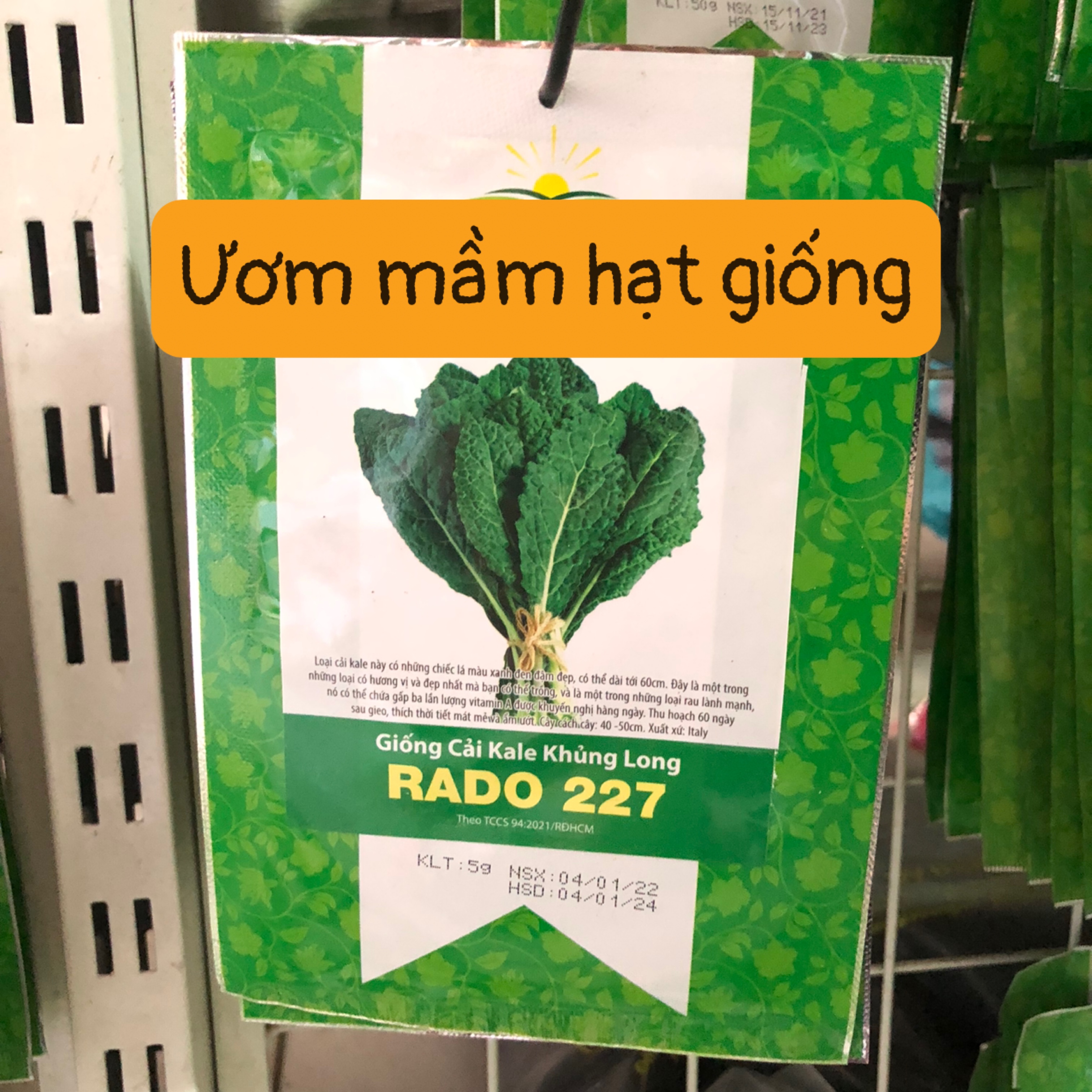 Hạt Giống Cải KaLe Khủng Long  227 (5g)