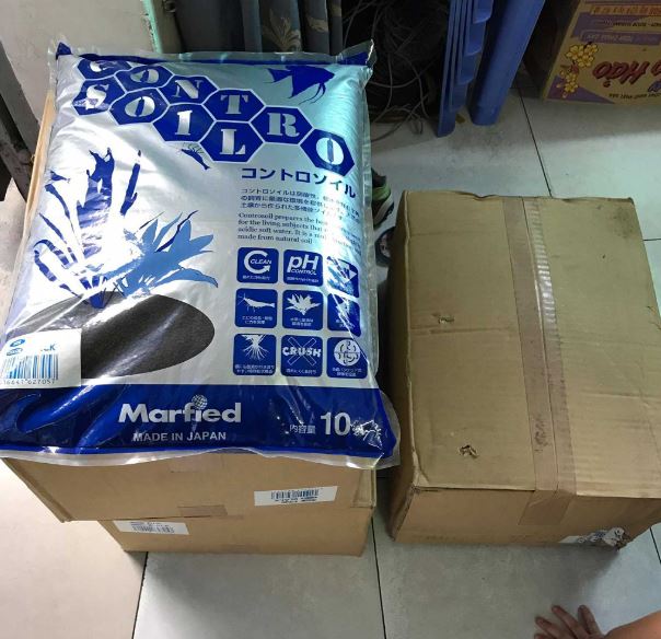 Phân Nền Control Soil | Phân Nền Dinh Dưỡng Cho Cây Thủy Sinh