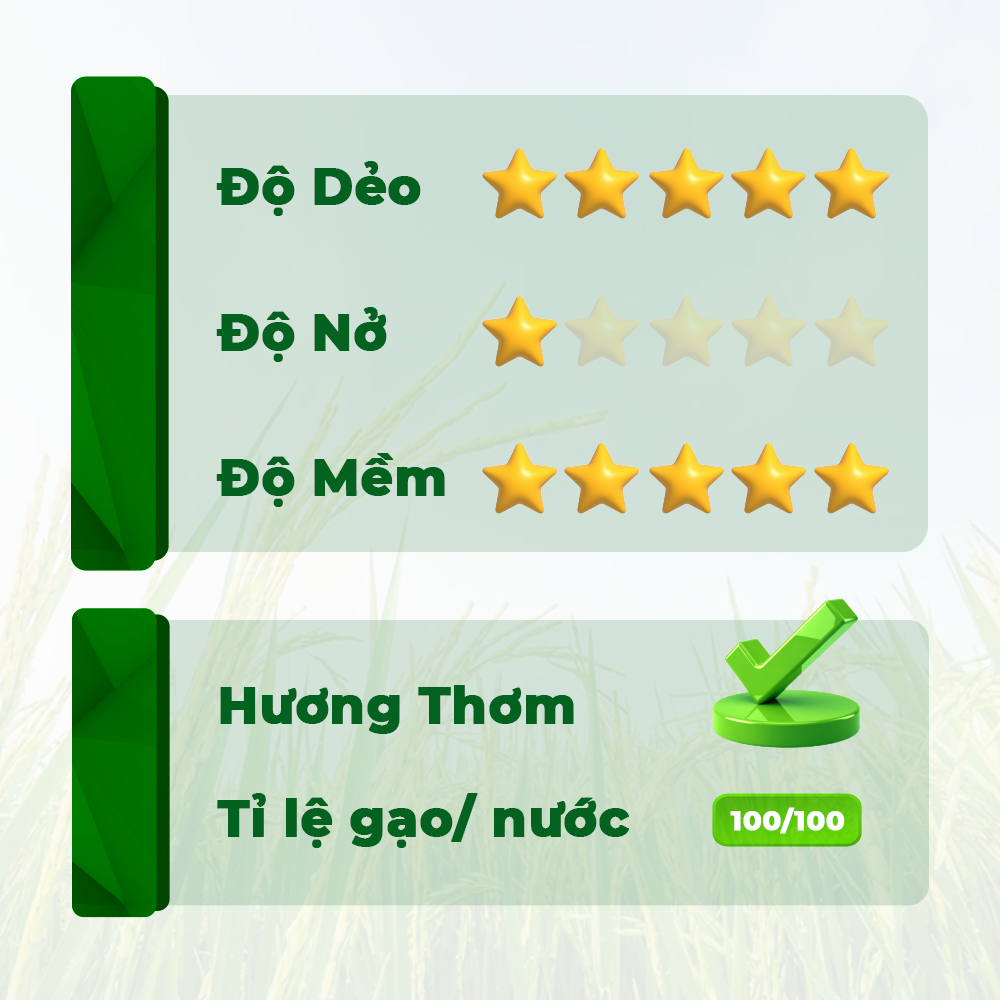 Gạo Chơn Chính ST25 - Túi 10kg - Gạo thượng hạng thơm dẻo, đậm vị 5RICE