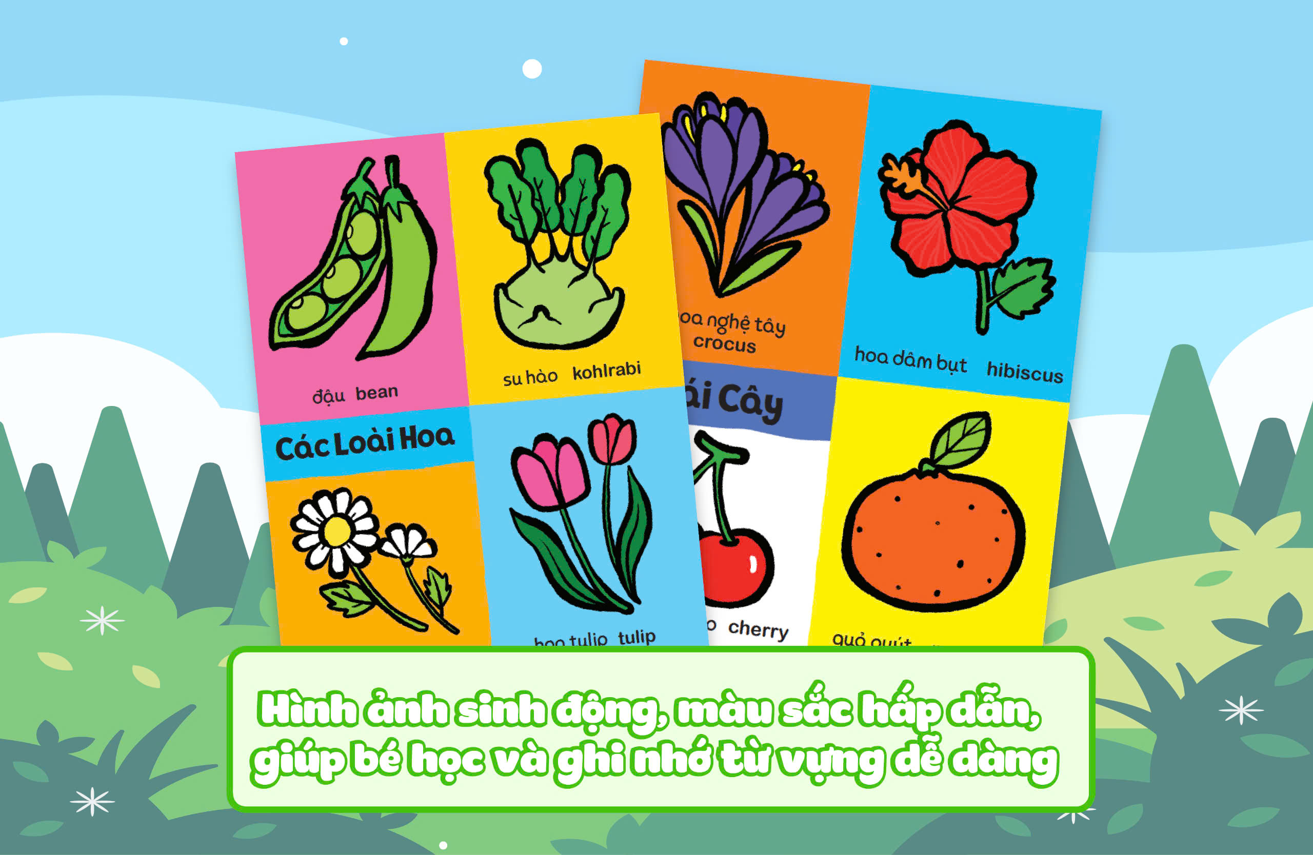 Combo My first - 600 Từ vựng đầu đời cho bé (6 Cuốn)