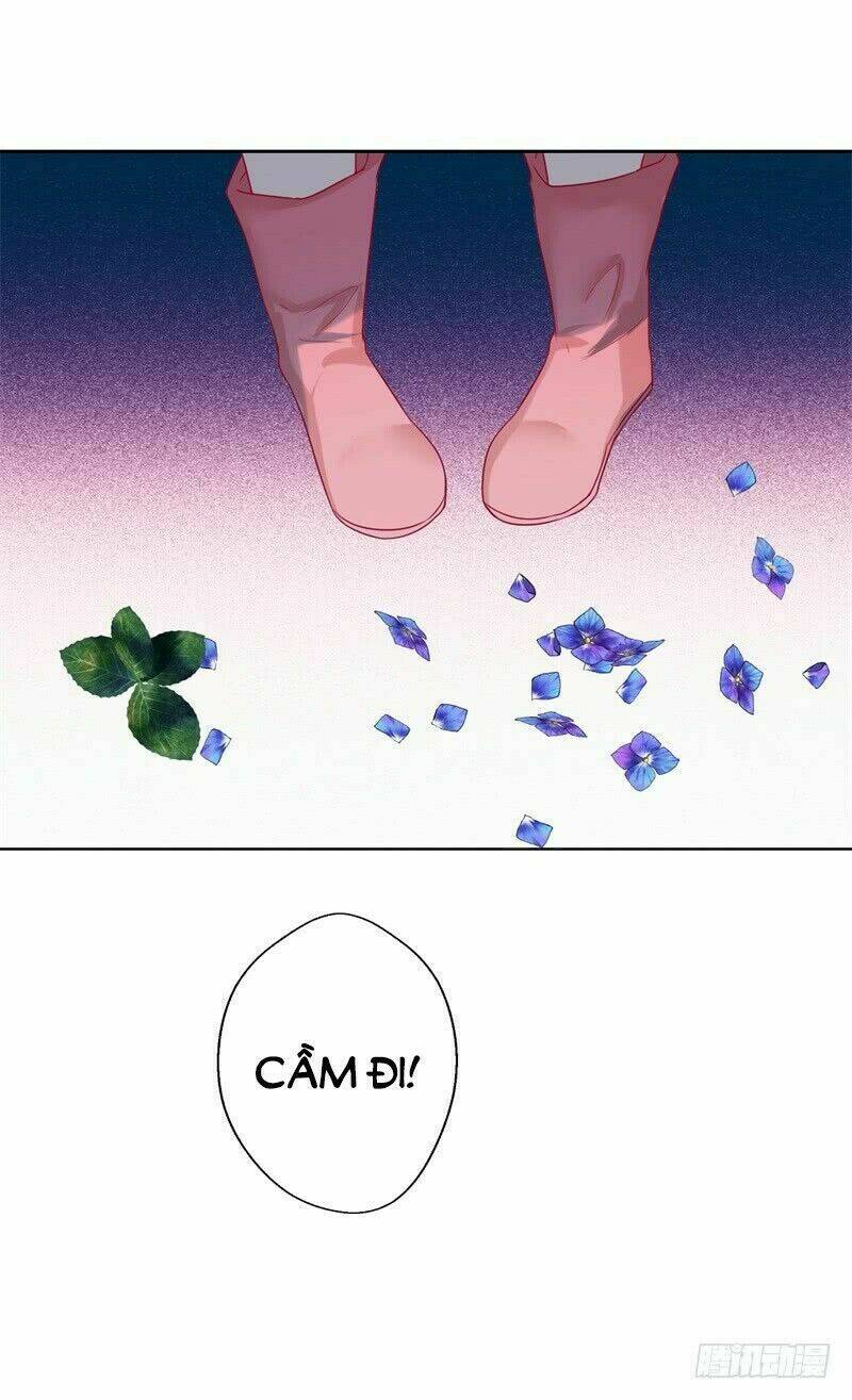 ngạo kiều tổng tài sủng điềm thê chapter 28 28