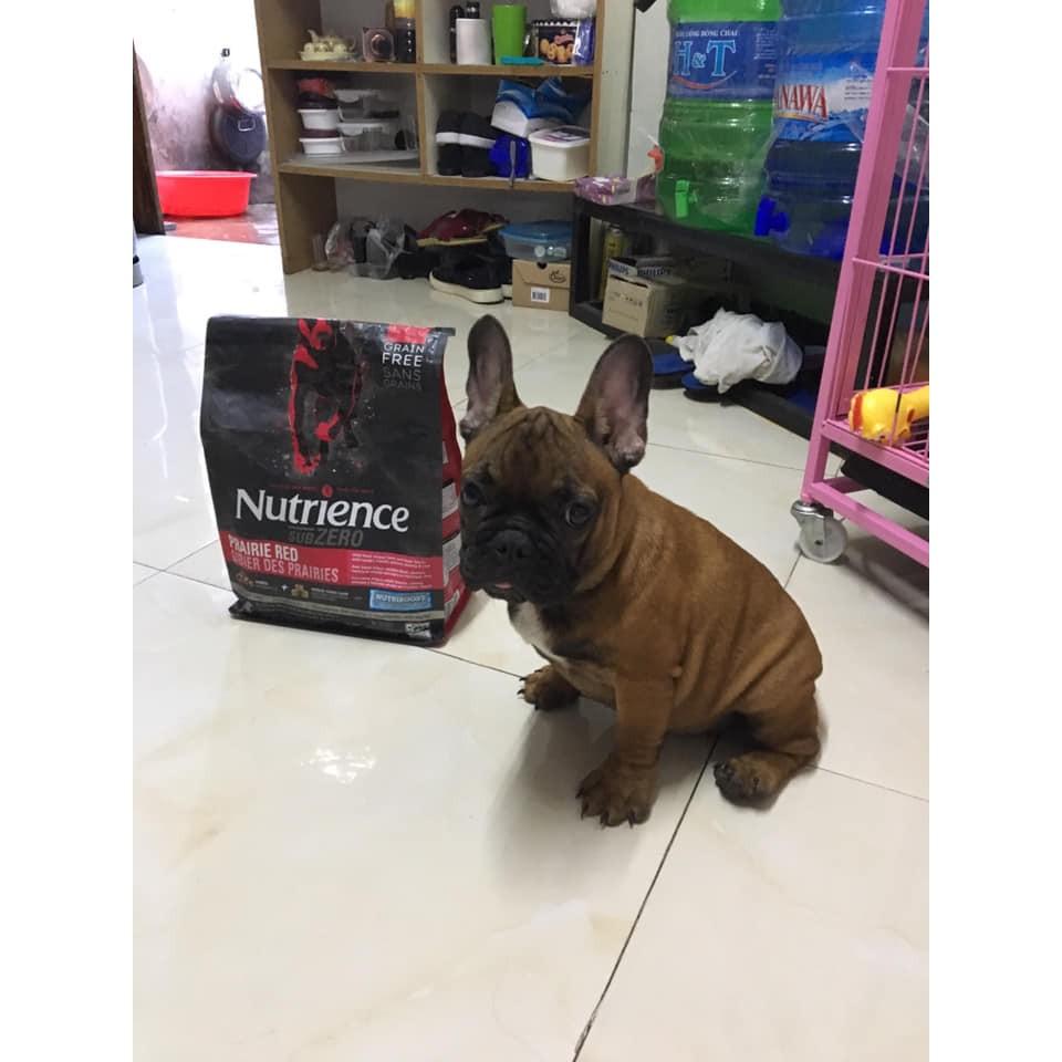 Thức Ăn Hạt Cho Chó Bull Pháp Nutrience Subzero Bao 5kg Thịt Gà Tây, Cá Hồi, Rau Củ Quả &amp; Trái Cây Tự Nhiên