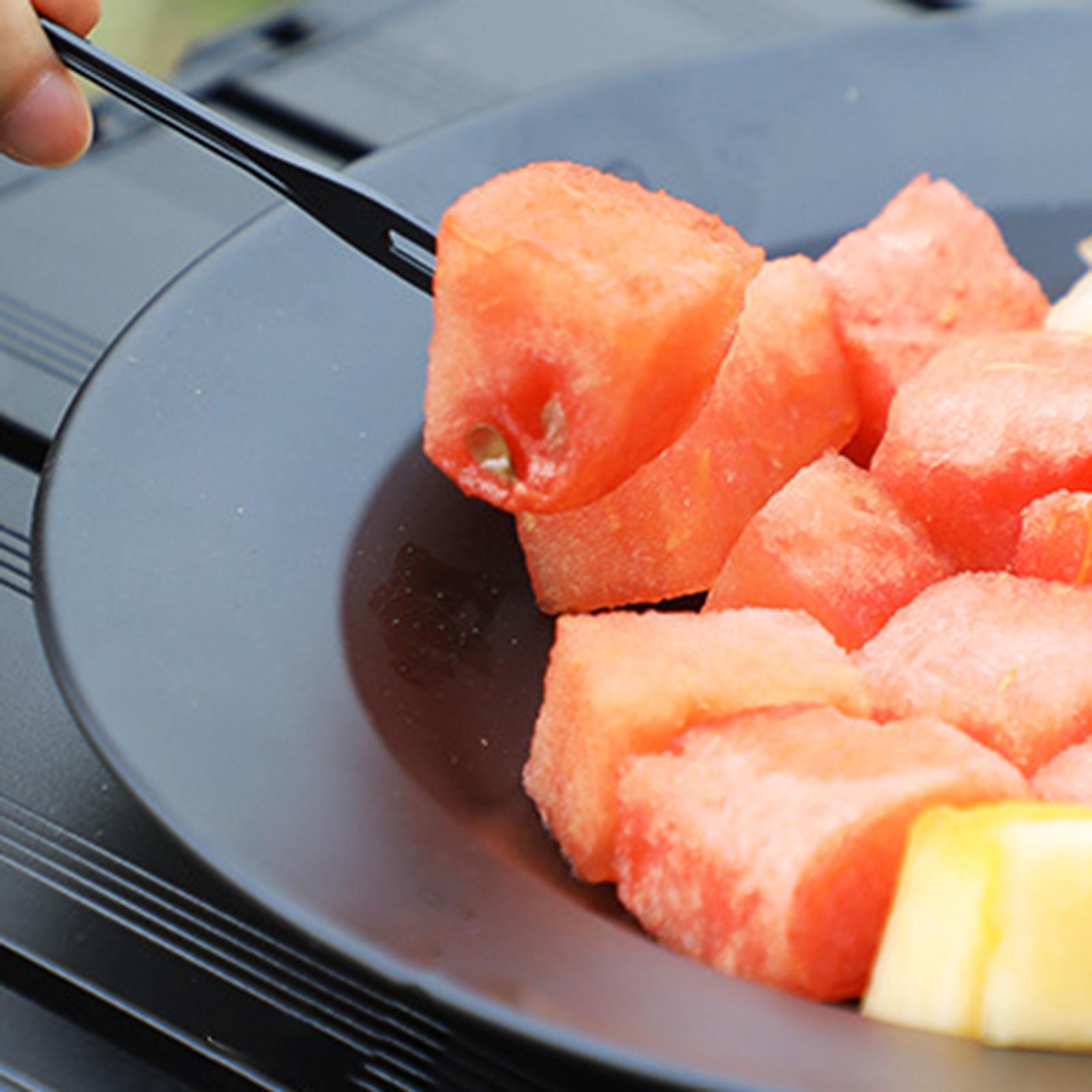 Lightweight Tableware Plate Pan Dinner Camping Dish for Barbecue Indoor Outdoor BBQ